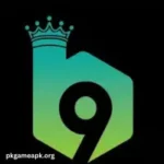 B9 Game logo with real money slot and card features