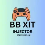BB Xit Injector app interface on Android screen
