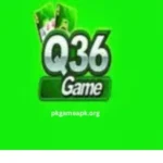 Q36 Game online play with safe deposit and withdraw options