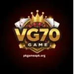 VG70 Game platform with rewards and easy play features