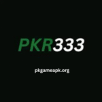 PKR333 Game app showing easy design, many games, and quick rewards