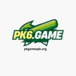 PK67 Game logo on a white modern background